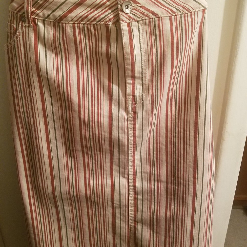 Cato's Fashion Multi Color Striped Skirt
